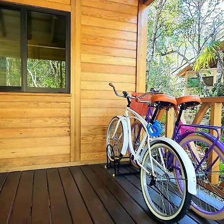 Energy Tulum Adult Lux Villas